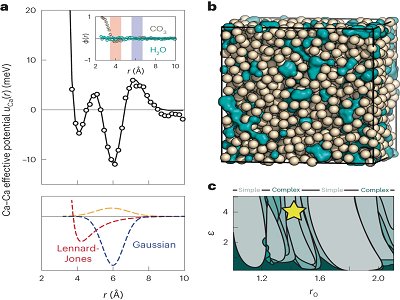 碳酸钙，登上Nature Chemistry！