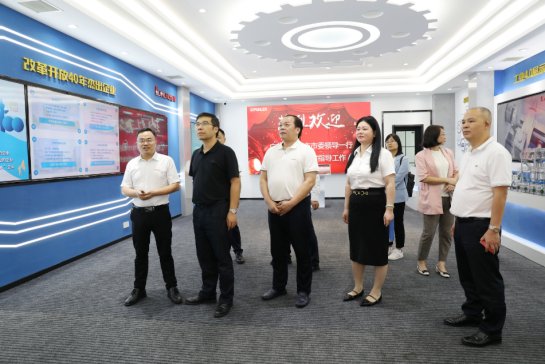 恩平市委副书记、市长赖惠镇一行莅临派勒集团调研