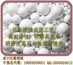 进口超耐磨氧化铝球 