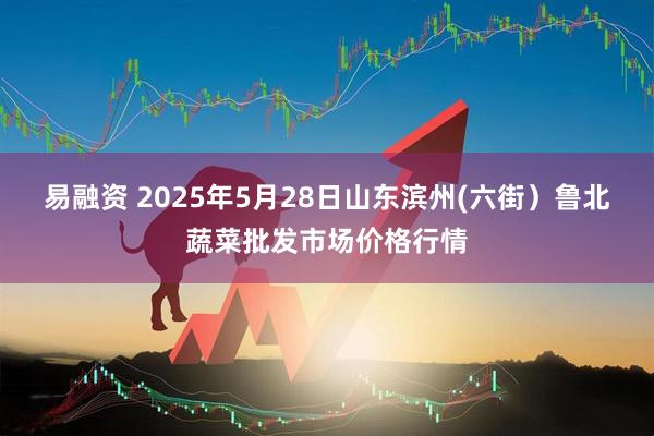 易融资 2025年5月28日山东滨州(六街)鲁北蔬菜批发市场价格行情