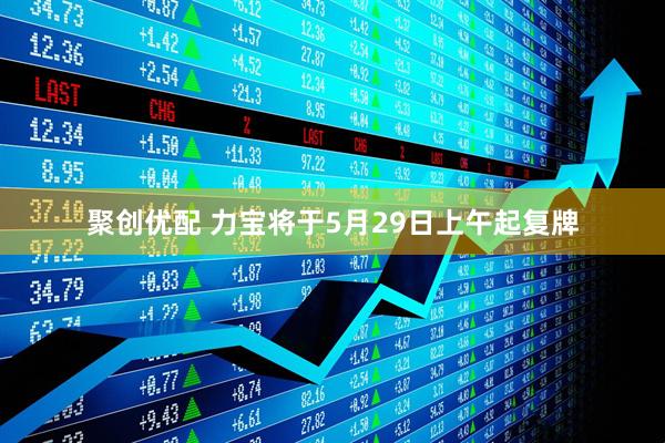 聚创优配 力宝将于5月29日上午起复牌