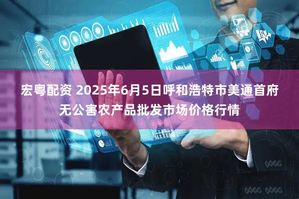 宏粤配资 2025年6月5日呼和浩特市美通首府无公害农产品批发市场价格行情