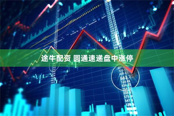 途牛配资 圆通速递盘中涨停