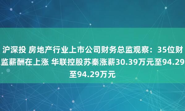 沪深投 房地产行业上市公司财务总监观察：35位财务总监薪酬在上涨 华联控股苏秦涨薪30.39万元至94.29万元