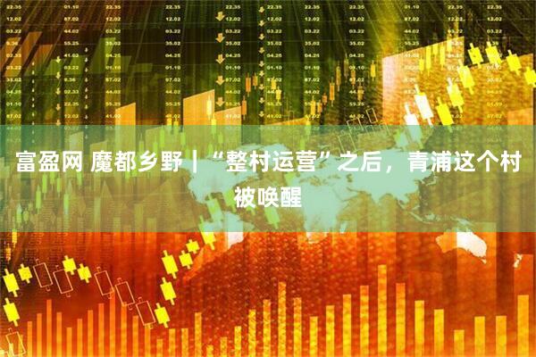 富盈网 魔都乡野｜“整村运营”之后，青浦这个村被唤醒