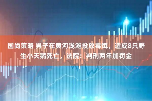 国尚策略 男子在黄河浅滩投放毒饵，造成8只野生小天鹅死亡，法院：判刑两年加罚金