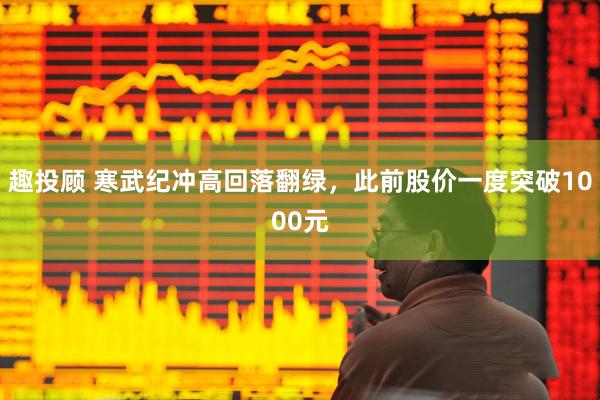 趣投顾 寒武纪冲高回落翻绿，此前股价一度突破1000元
