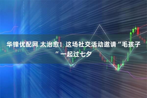华锋优配网 太治愈！这场社交活动邀请“毛孩子”一起过七夕