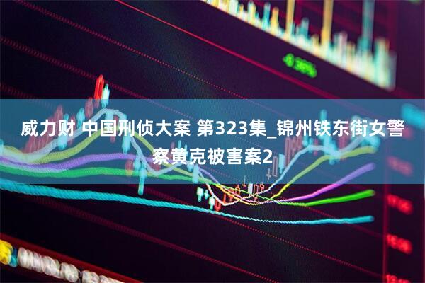 威力财 中国刑侦大案 第323集_锦州铁东街女警察黄克被害案2