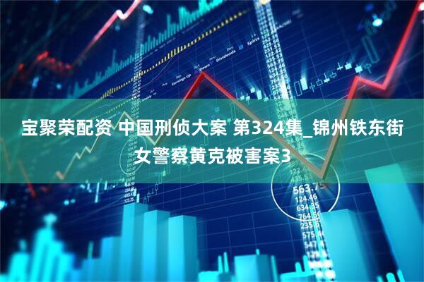 宝聚荣配资 中国刑侦大案 第324集_锦州铁东街女警察黄克被害案3