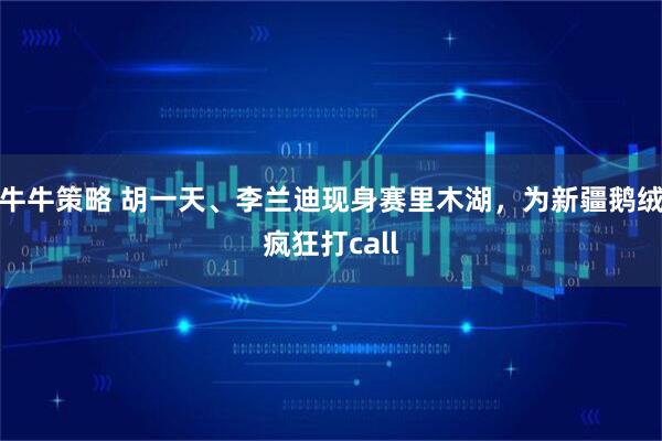牛牛策略 胡一天、李兰迪现身赛里木湖，为新疆鹅绒疯狂打call