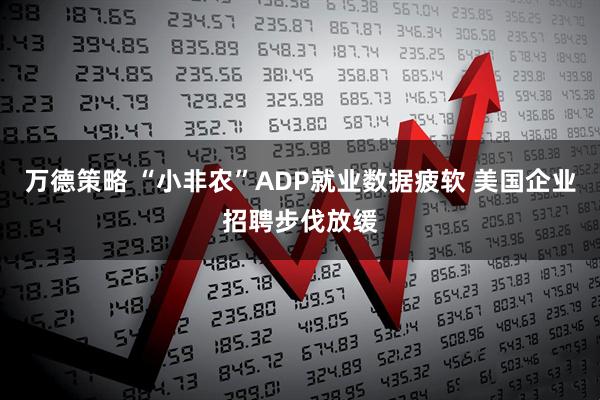 万德策略 “小非农”ADP就业数据疲软 美国企业招聘步伐放缓