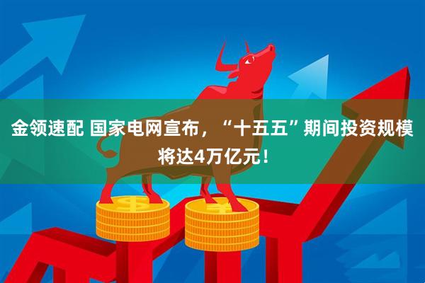金领速配 国家电网宣布，“十五五”期间投资规模将达4万亿元！